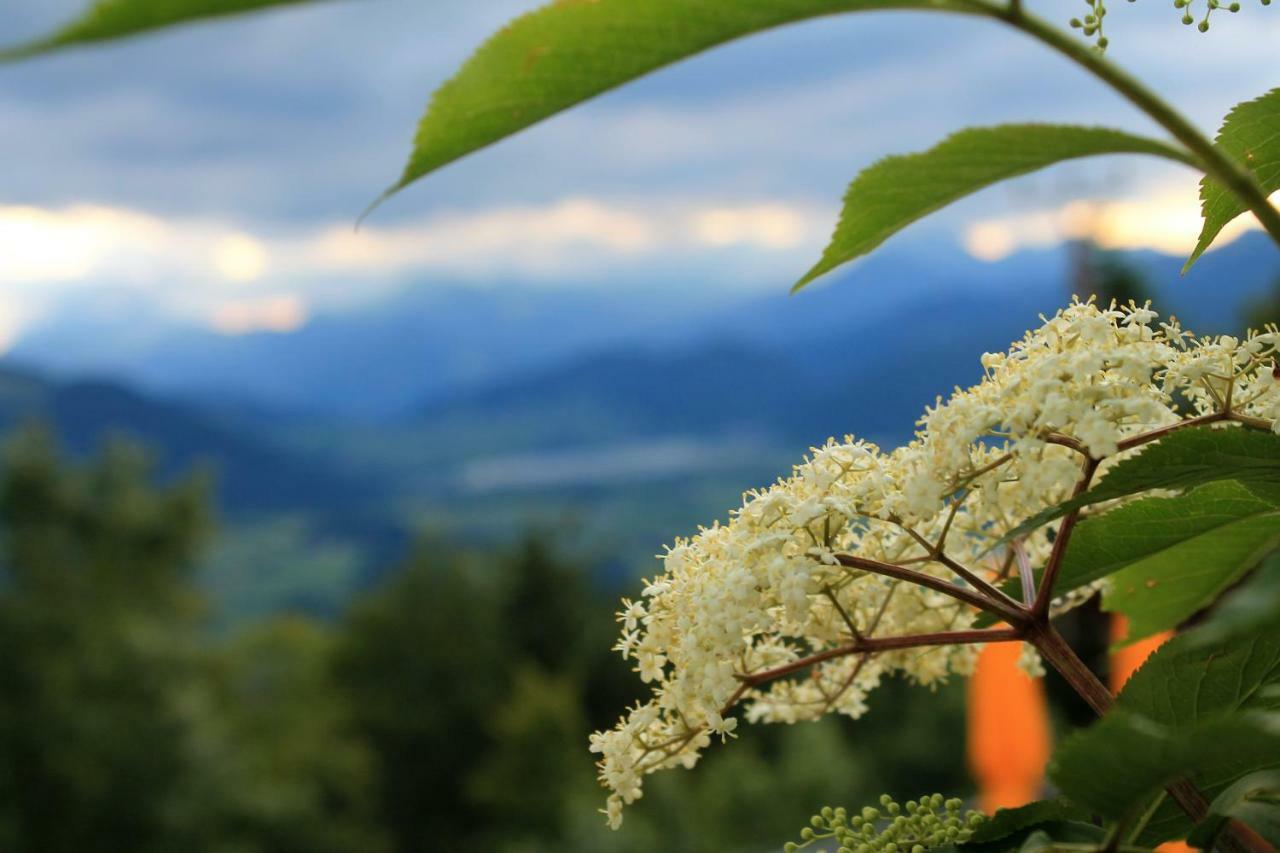 Scheibenwald Huette Villa Kossen Bagian luar foto