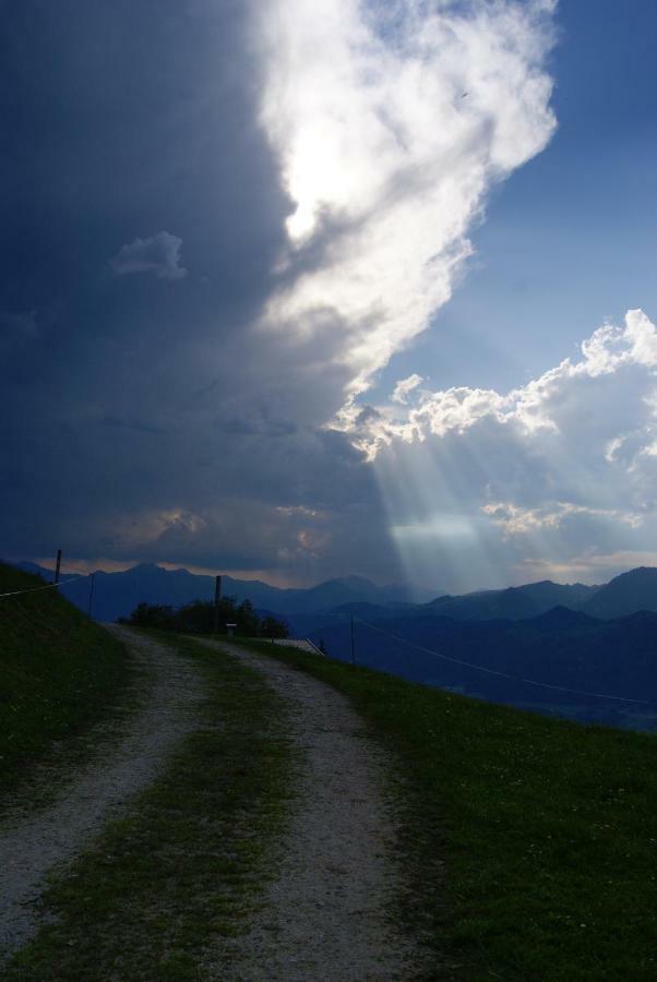 Scheibenwald Huette Villa Kossen Bagian luar foto